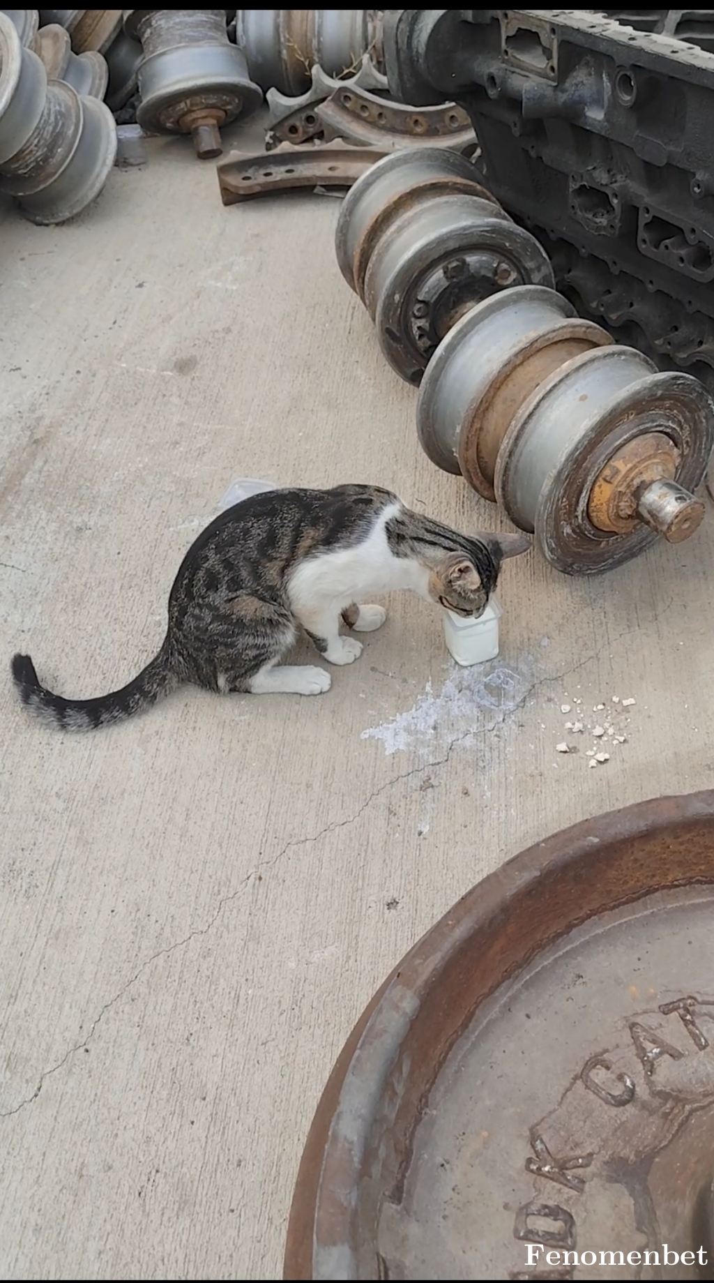 Petrolsporr tarafından paylaşıldı