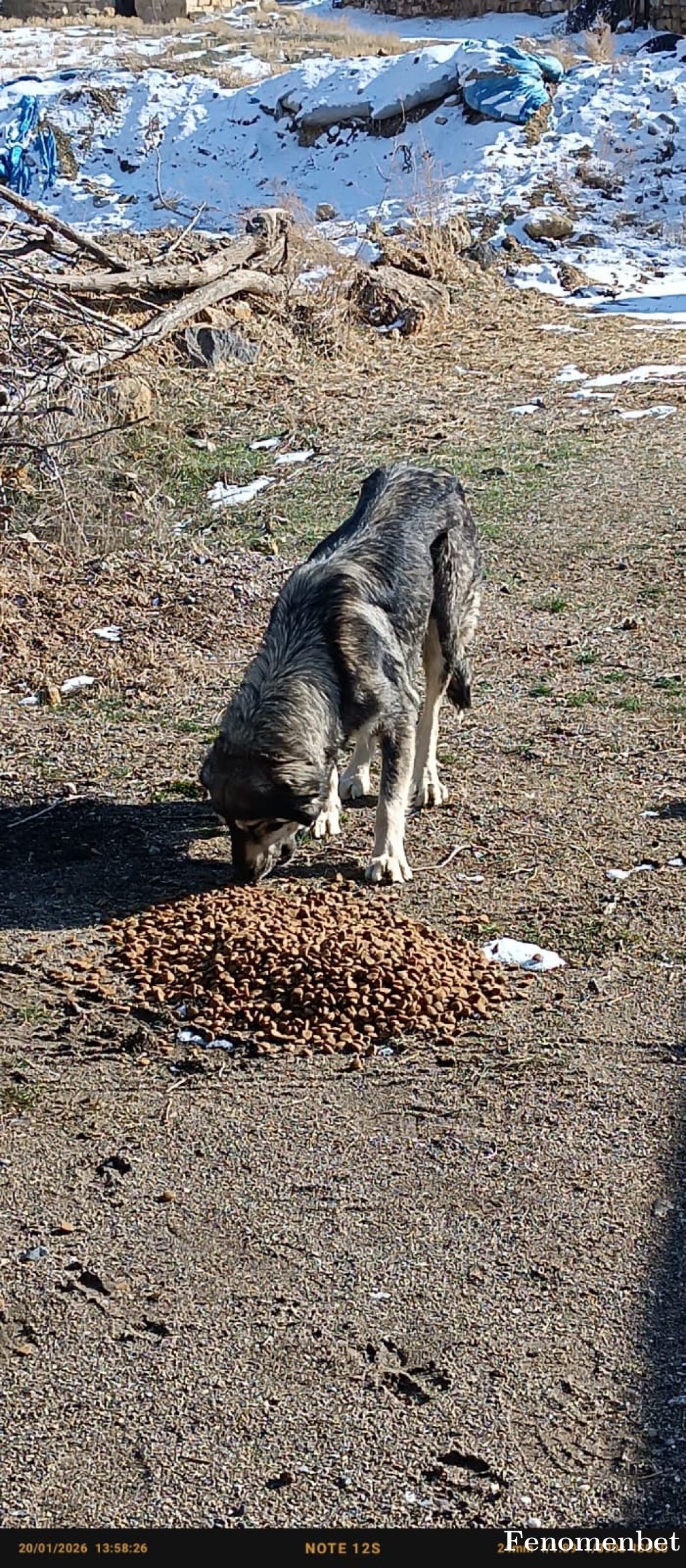 Cengo50 tarafından paylaşıldı