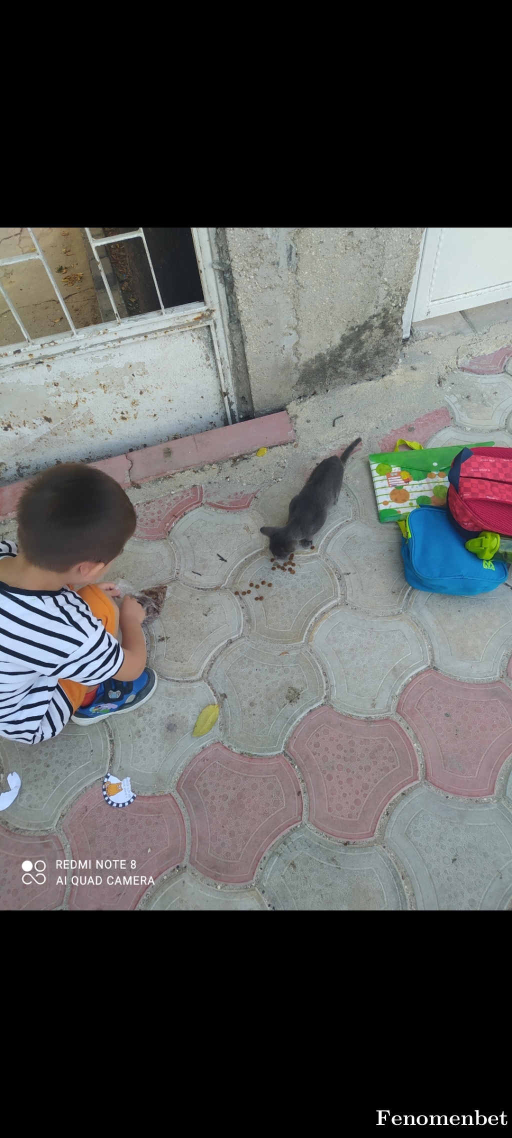 Cicice tarafından paylaşıldı