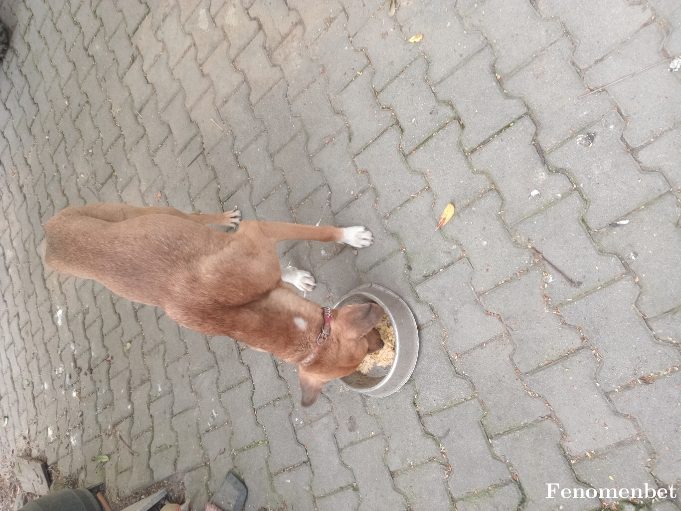 Kundera tarafından paylaşıldı