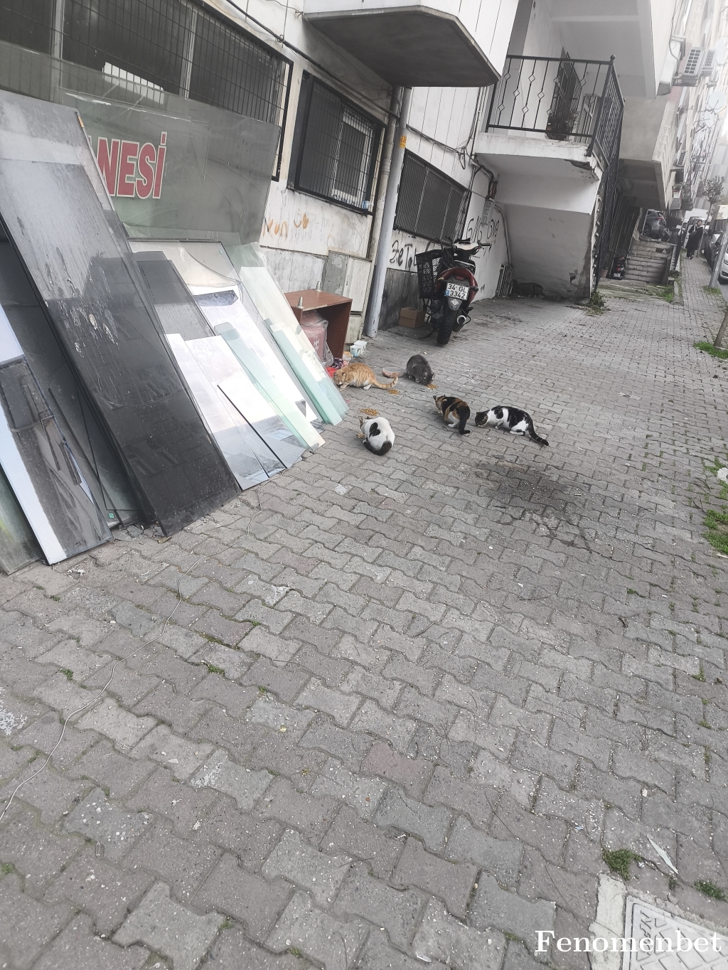 ramottt tarafından paylaşıldı