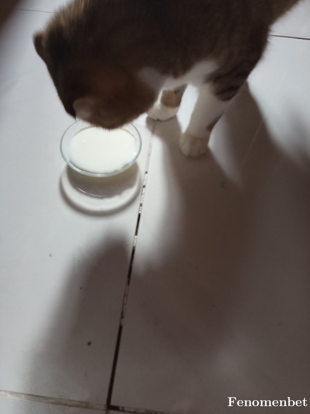 Mrym2116 tarafından paylaşıldı