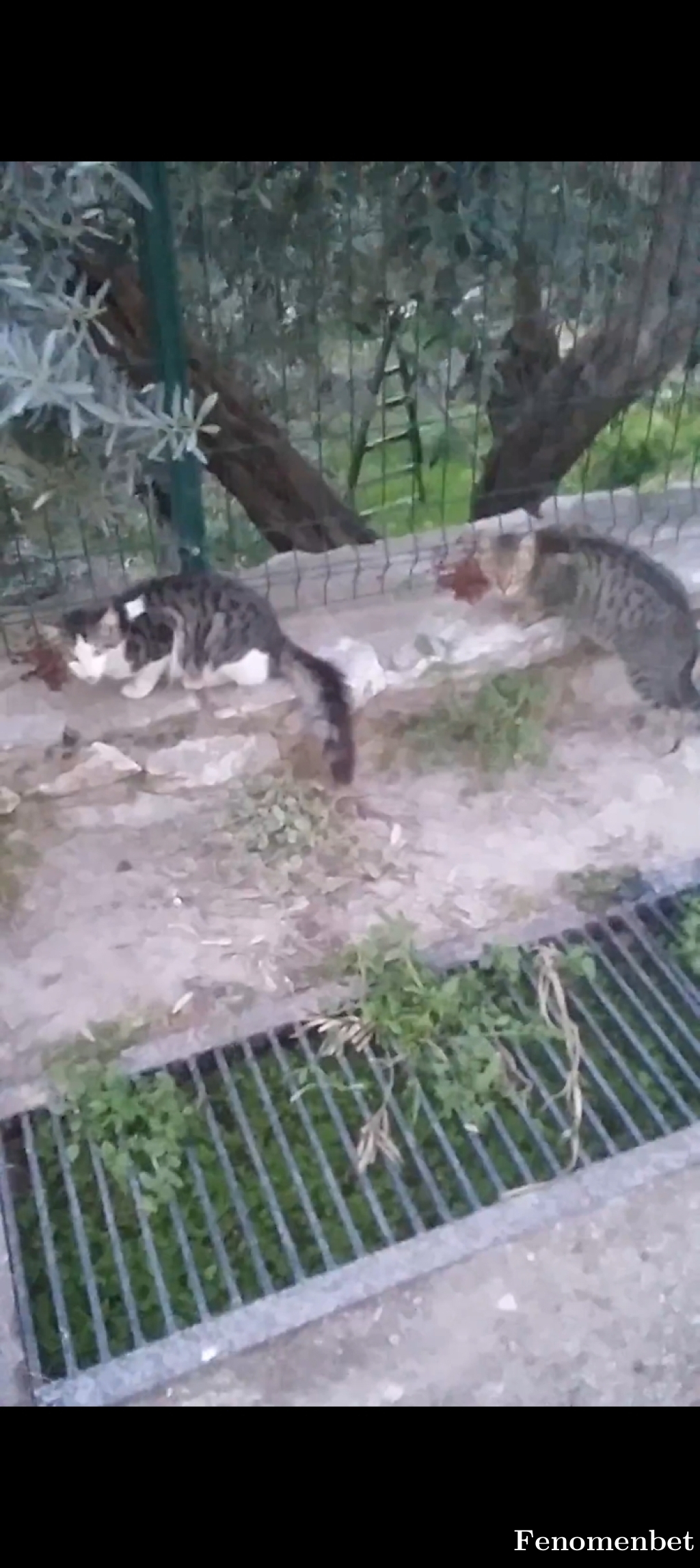 nrhy0666 tarafından paylaşıldı