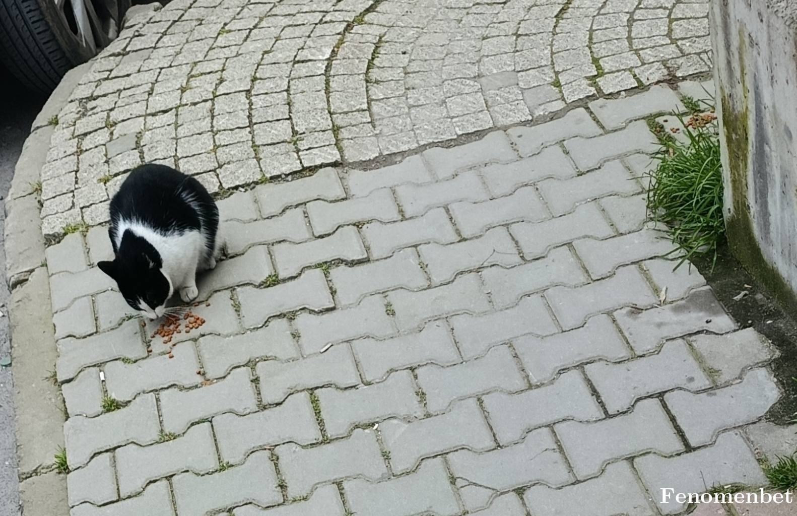 Redzon13 tarafından paylaşıldı