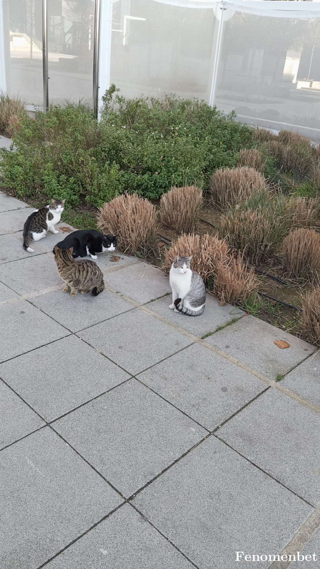 Sinan6776 tarafından paylaşıldı