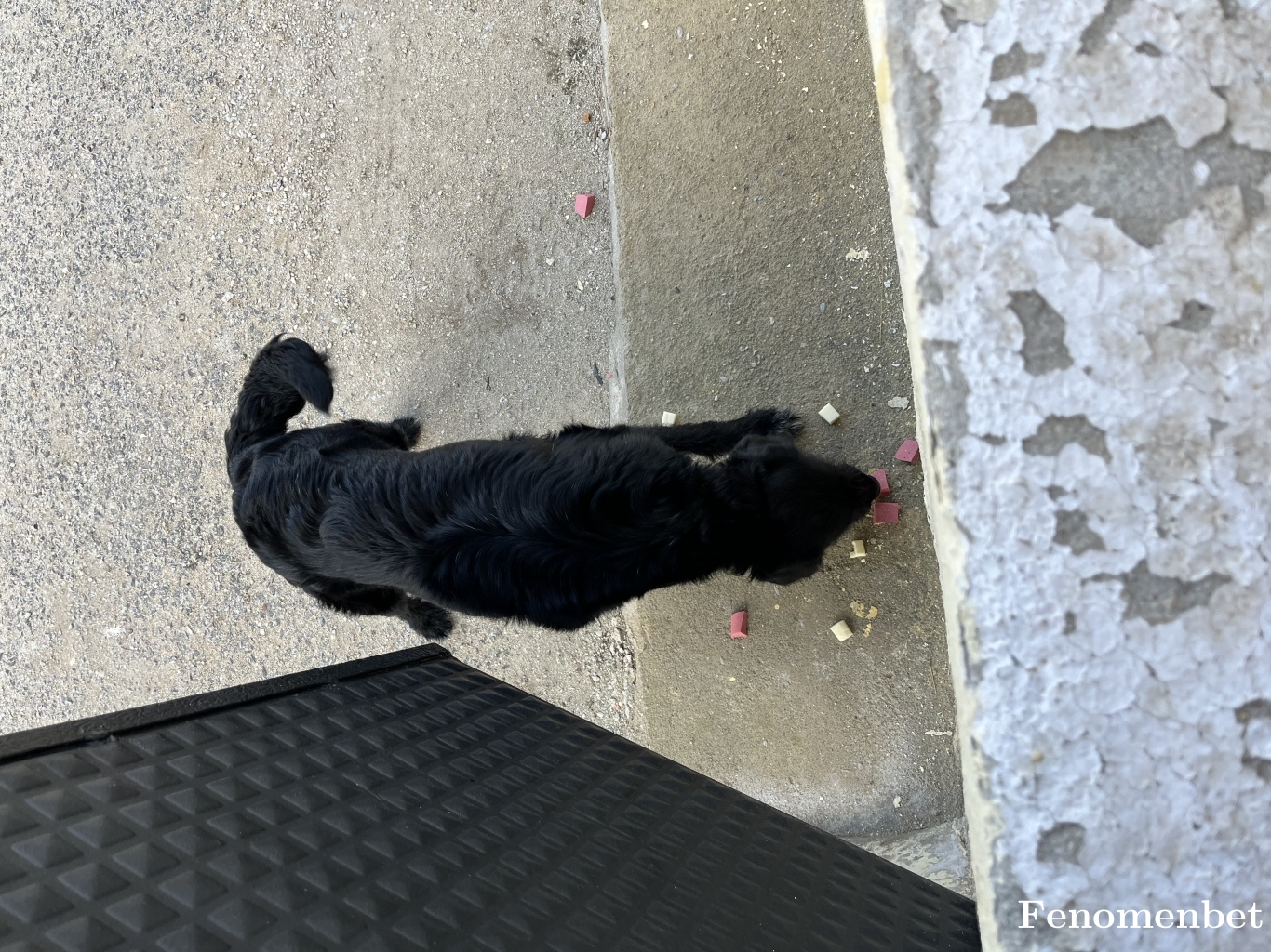 Hasoo001 tarafından paylaşıldı