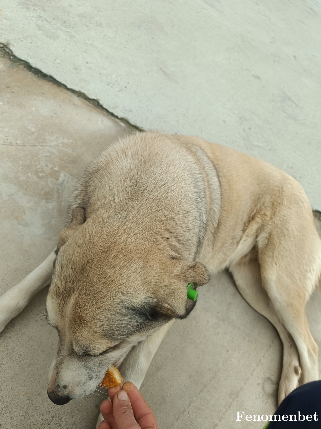 Doganayyyy tarafından paylaşıldı