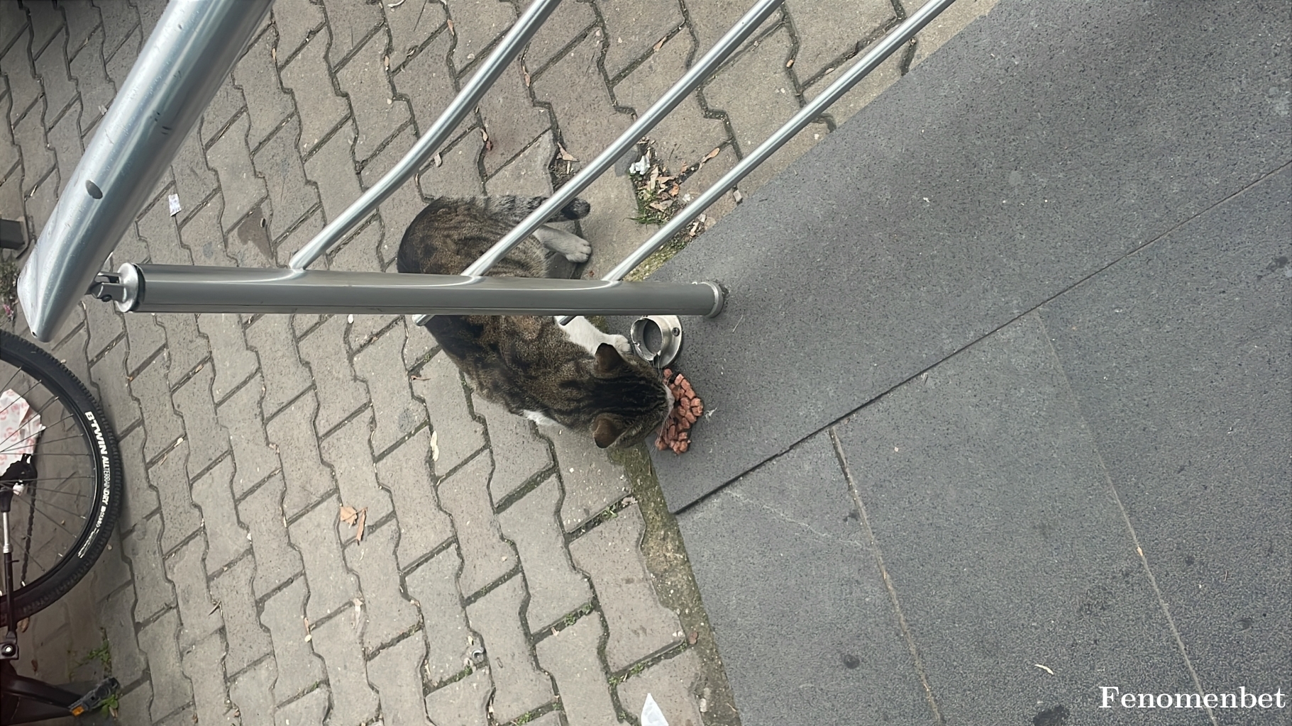 Boss1907 tarafından paylaşıldı