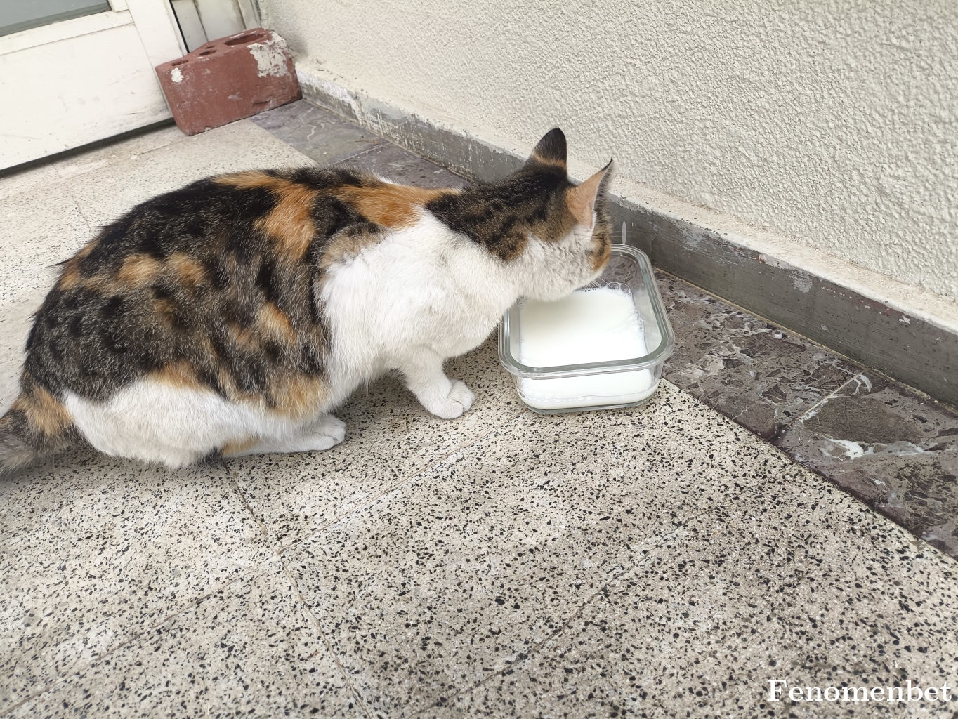 Muhammed1907 tarafından paylaşıldı