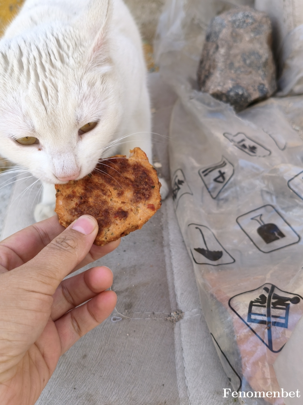 Algur21 tarafından paylaşıldı