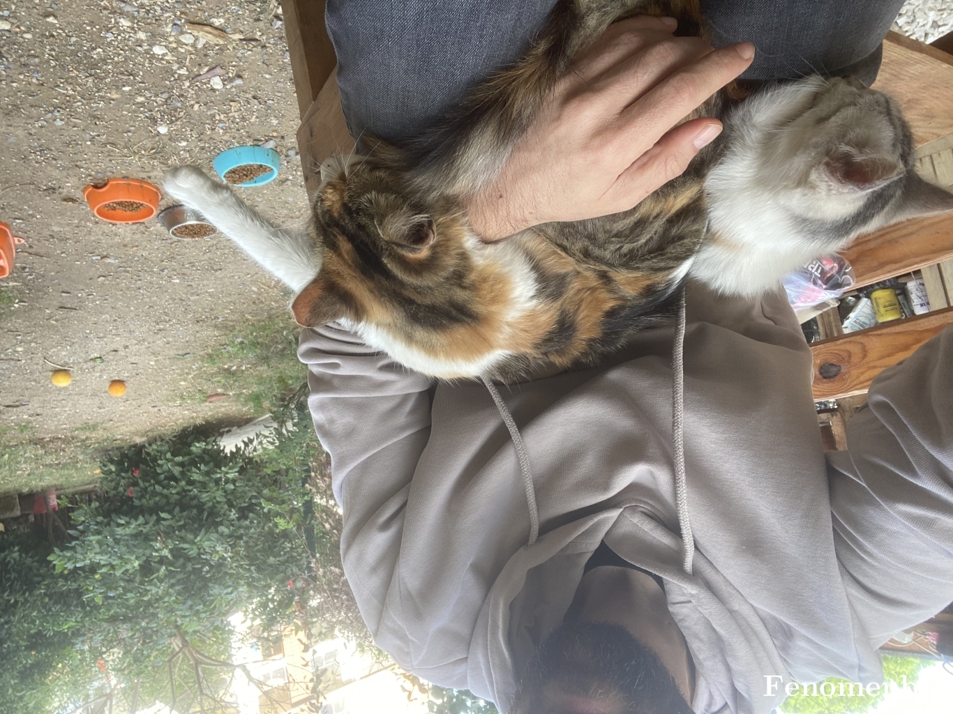 tvfk07 tarafından paylaşıldı