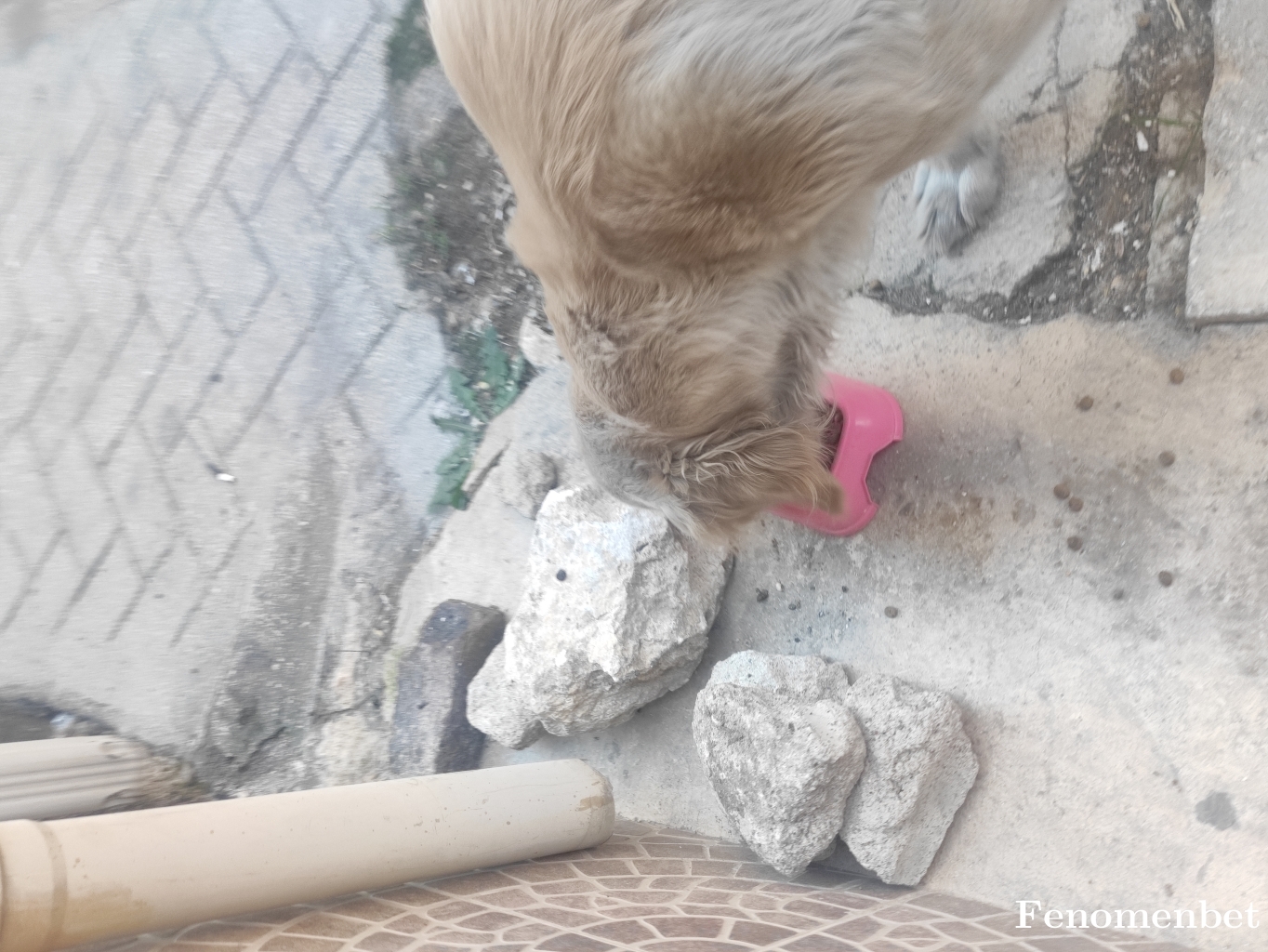 Celal267 tarafından paylaşıldı