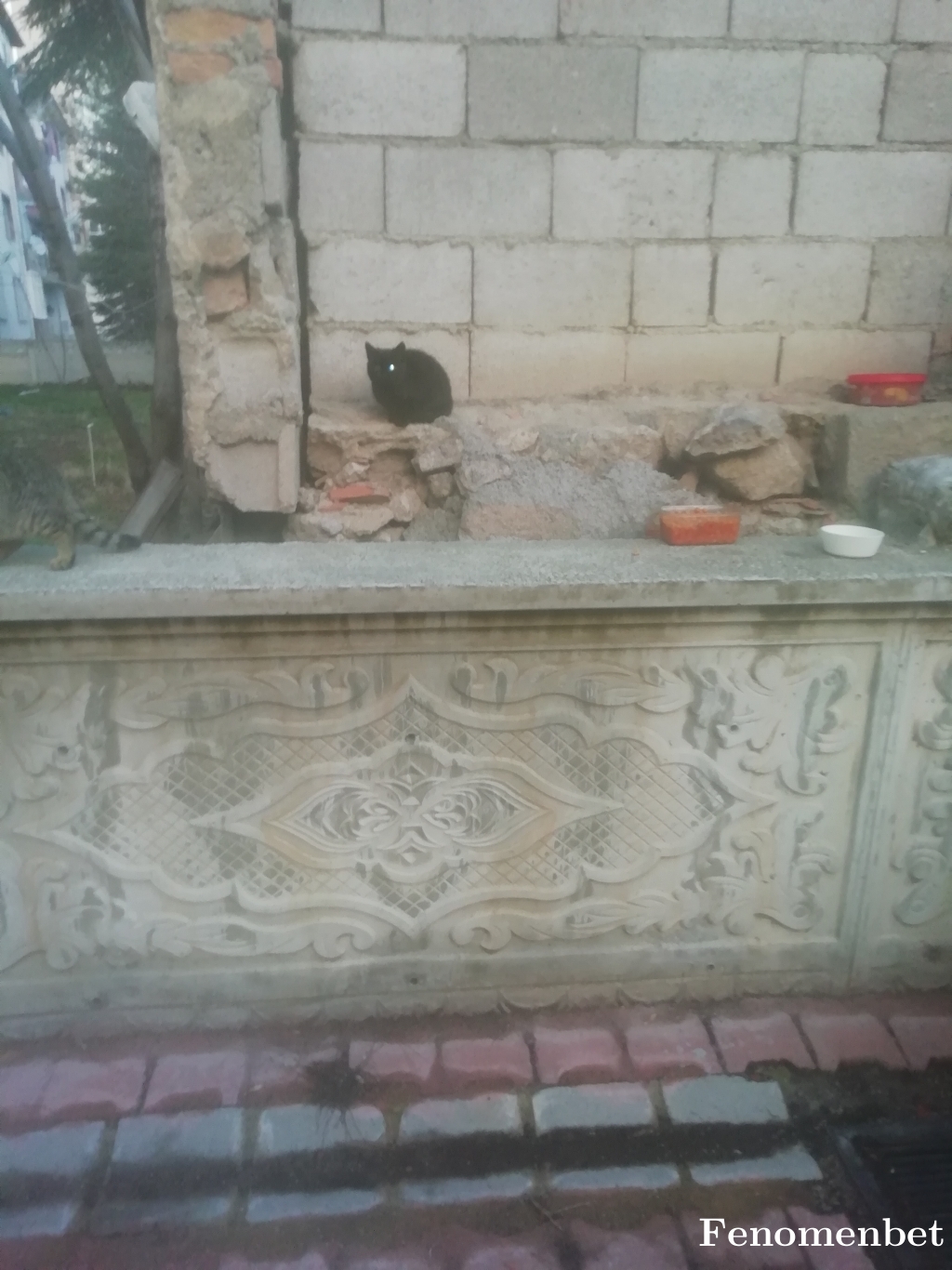 sokratess tarafından paylaşıldı