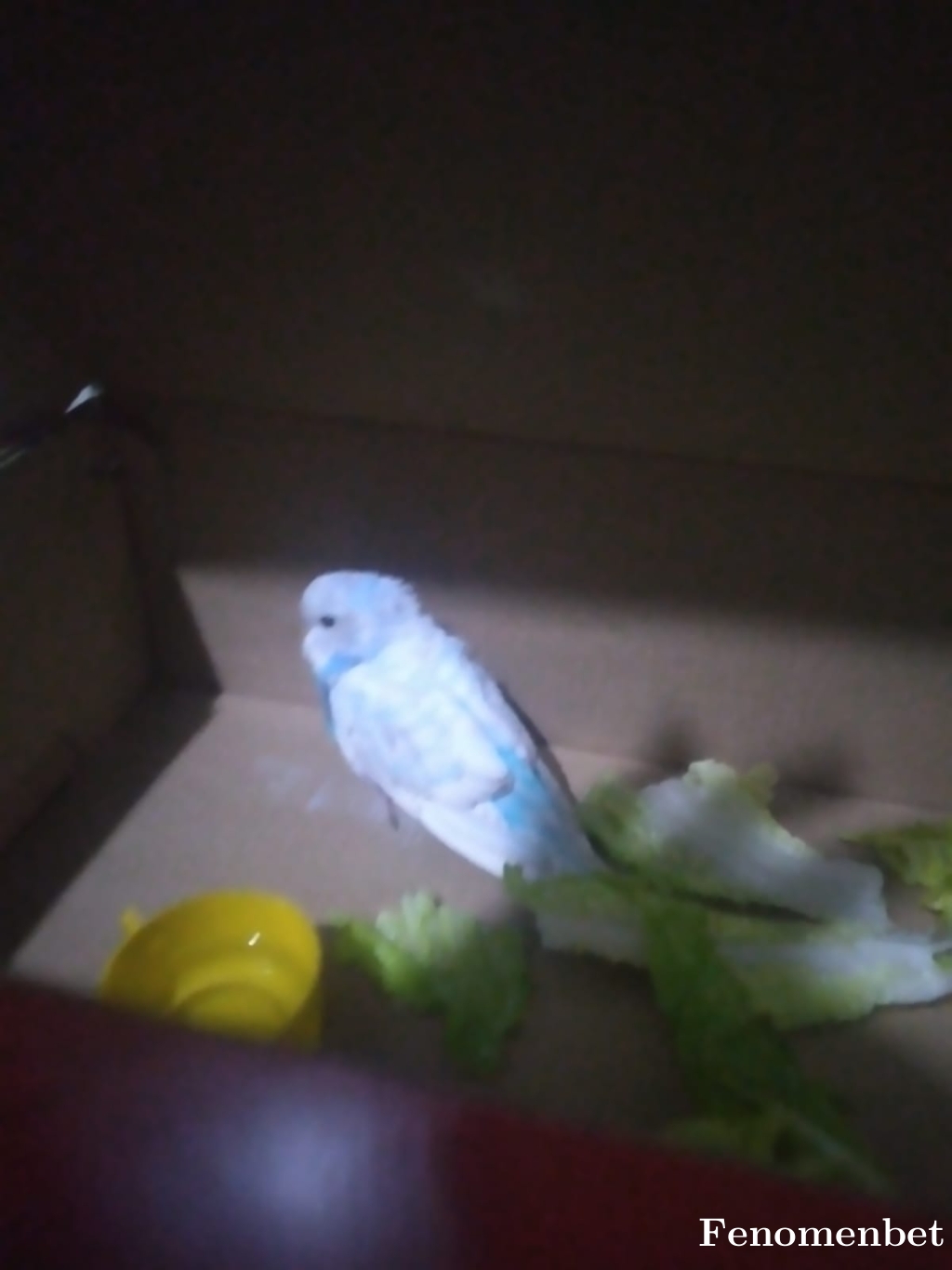 30011951 tarafından paylaşıldı