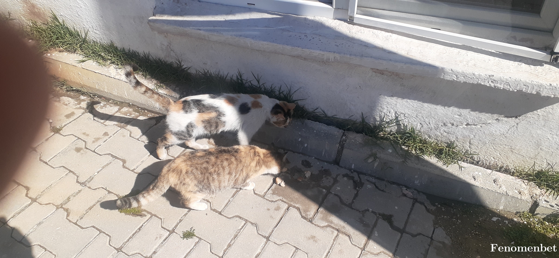 kinabruk tarafından paylaşıldı