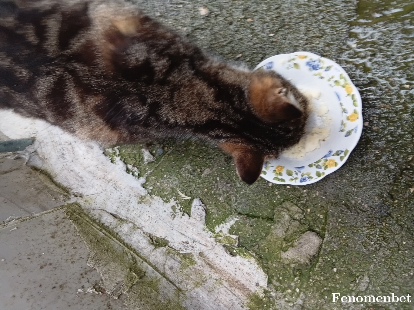 11468367 tarafından paylaşıldı