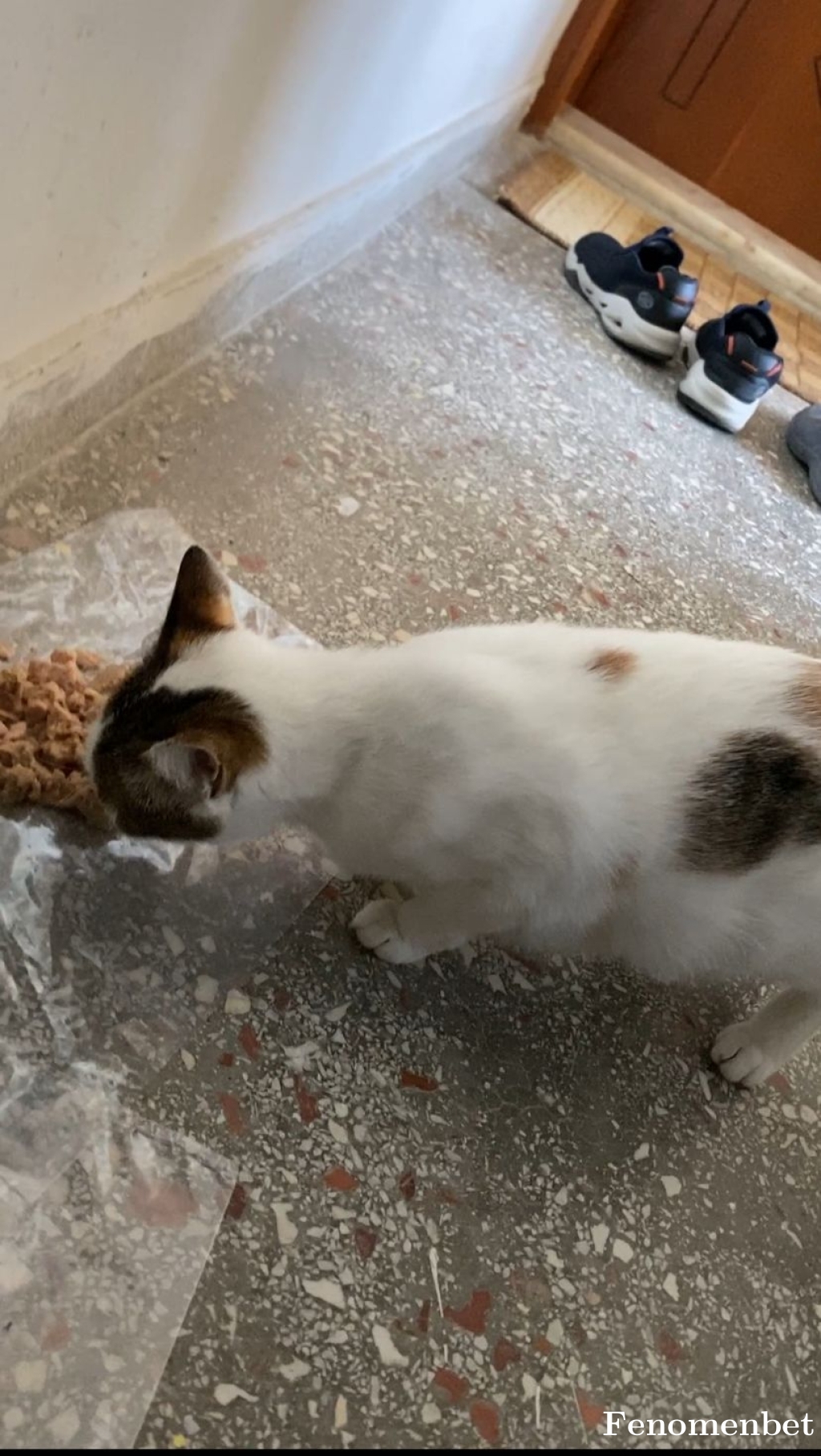 uqurasutay tarafından paylaşıldı