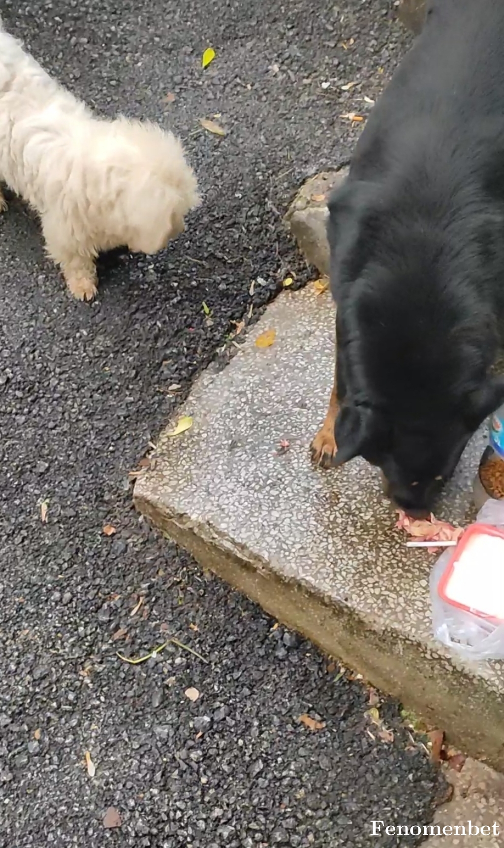 Pinarnazli tarafından paylaşıldı