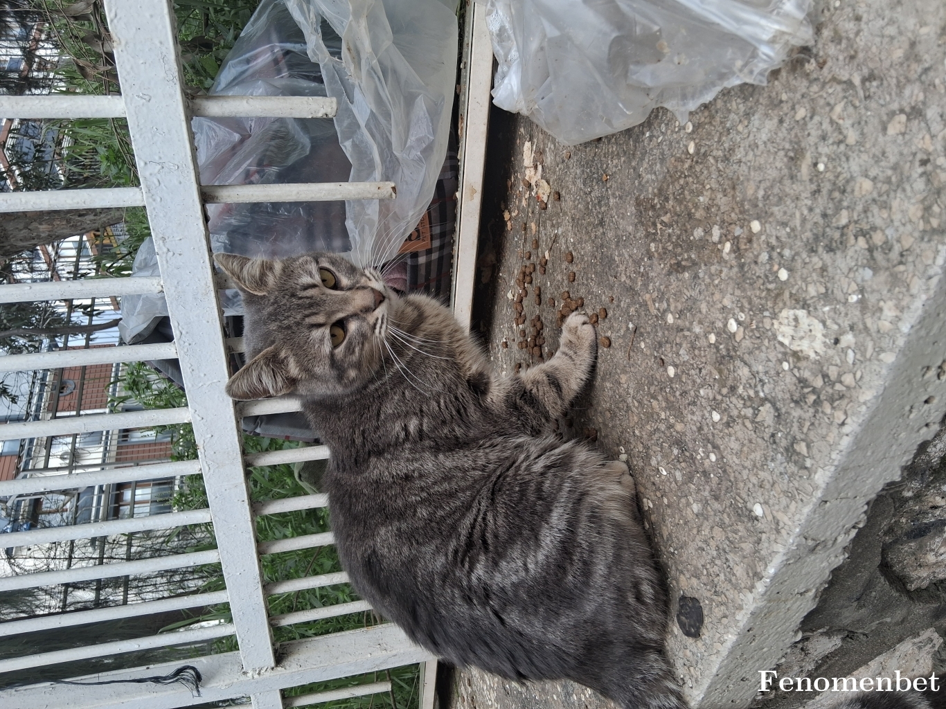 Susoy3673 tarafından paylaşıldı