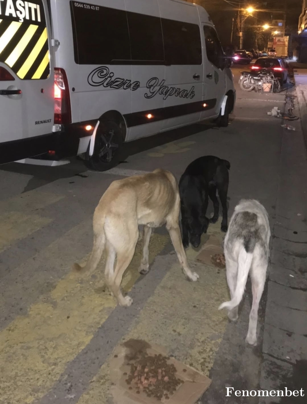 Sevkitpn tarafından paylaşıldı