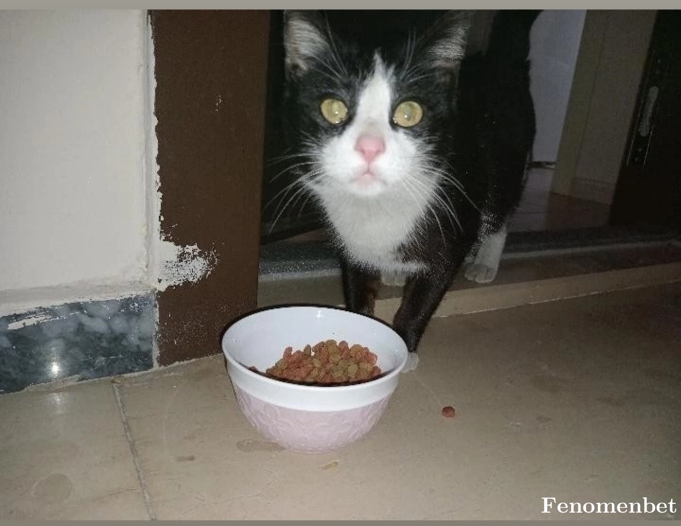 Barano30 tarafından paylaşıldı