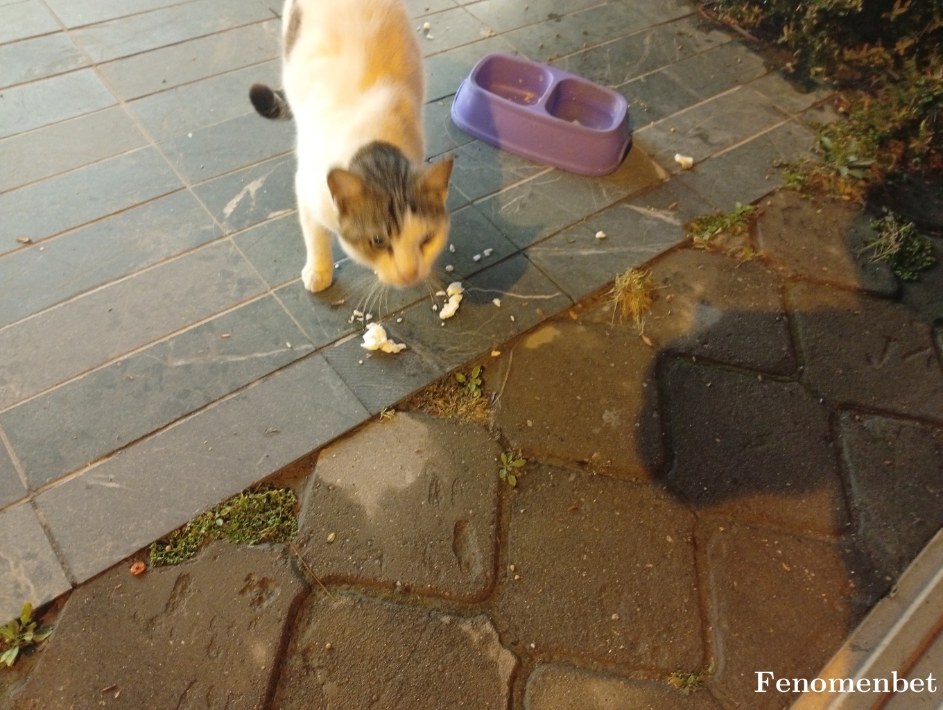 Kamby46 tarafından paylaşıldı