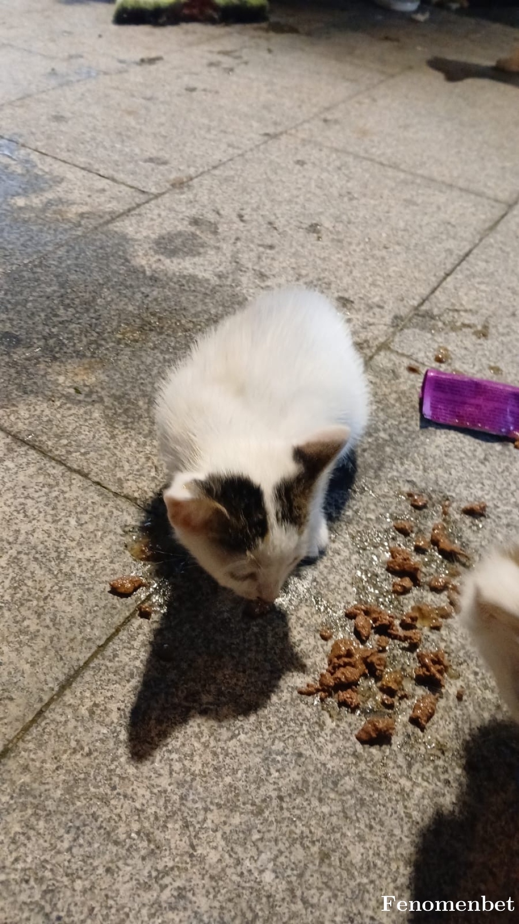 mvskpln tarafından paylaşıldı