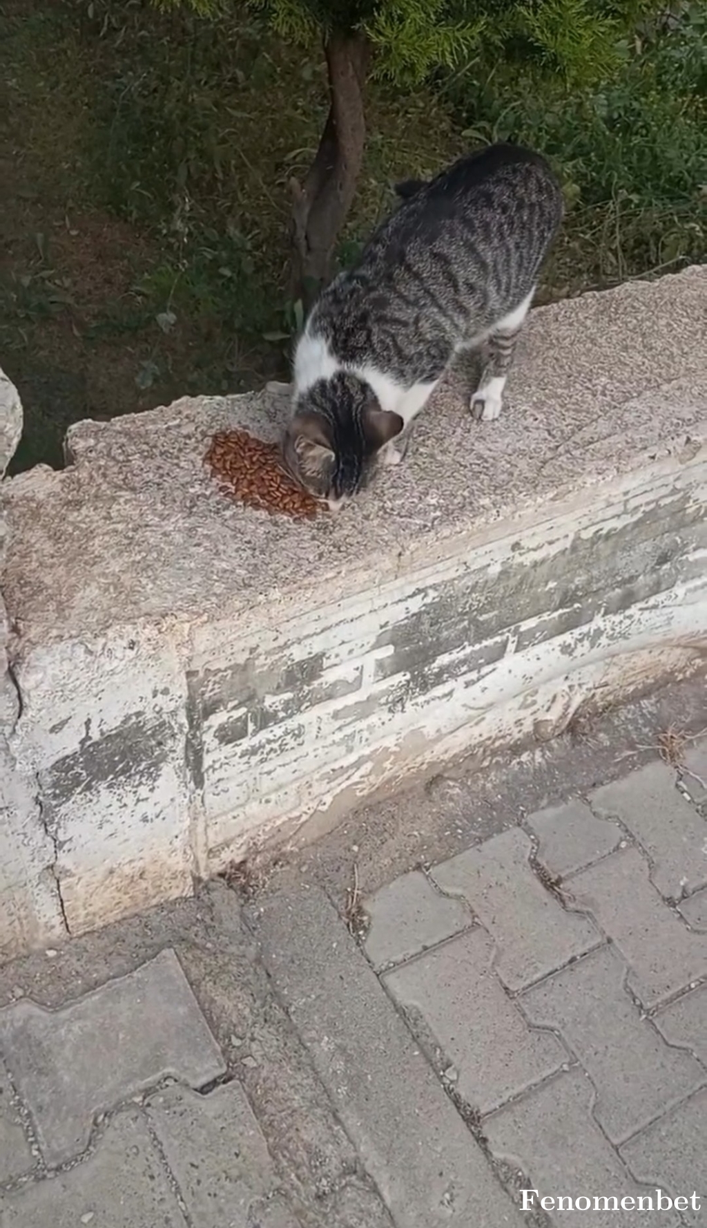 Garibanmami tarafından paylaşıldı