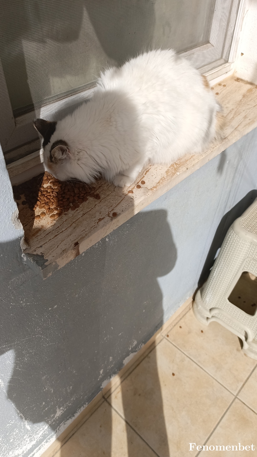 Yazar3838 tarafından paylaşıldı