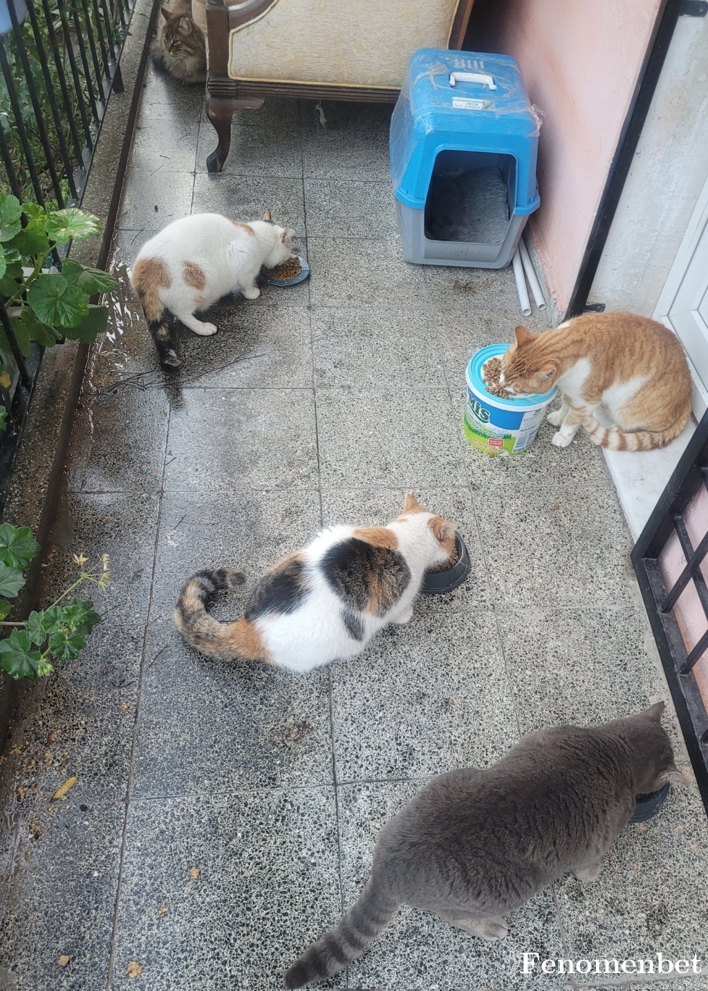 Yarasa88 tarafından paylaşıldı