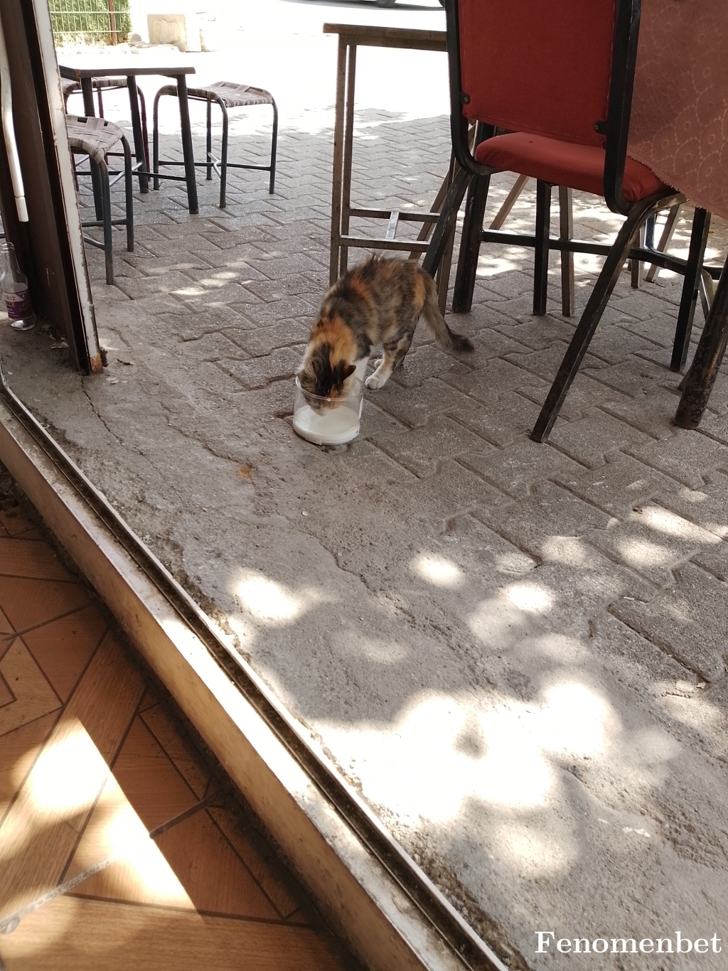 Selahattin21 tarafından paylaşıldı