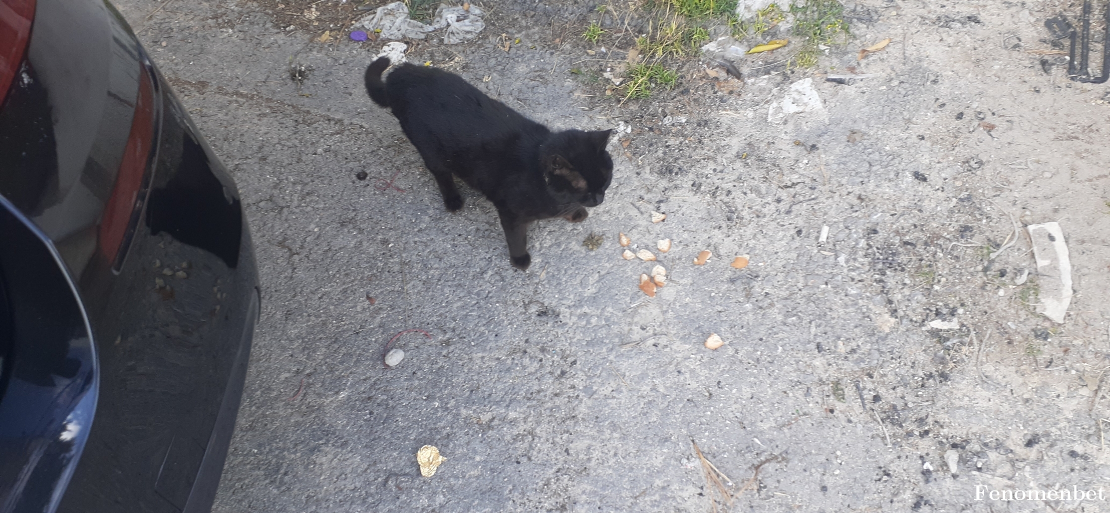 karslim63 tarafından paylaşıldı