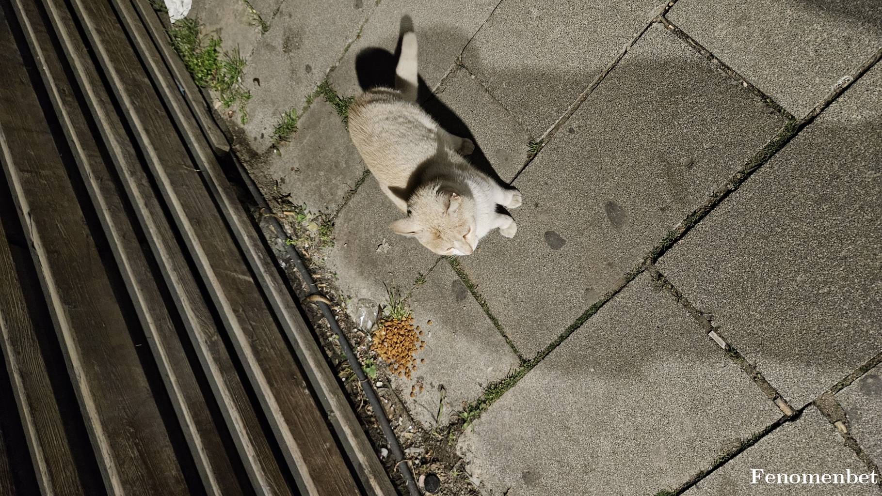 betboy17  tarafından paylaşıldı