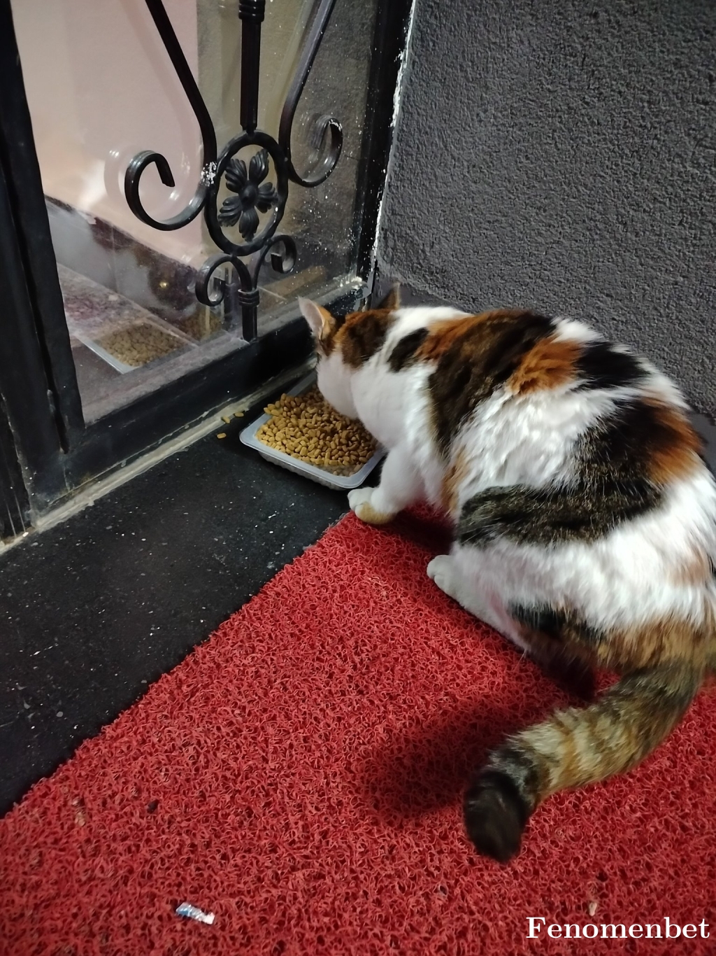 Frknsrds tarafından paylaşıldı