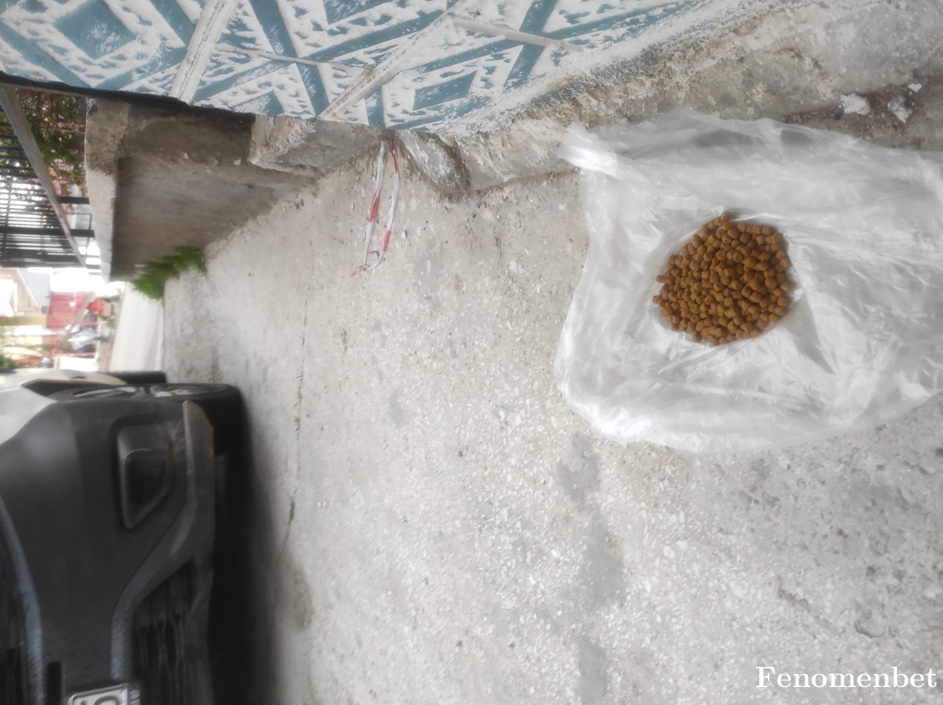 Ersn1806  tarafından paylaşıldı