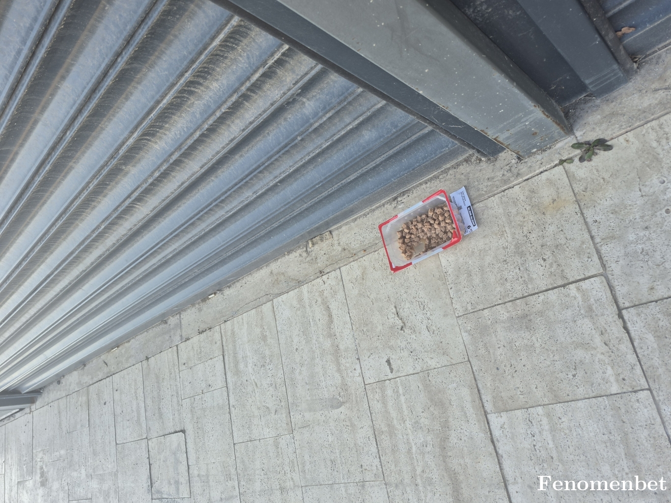 Krmgrsl41 tarafından paylaşıldı