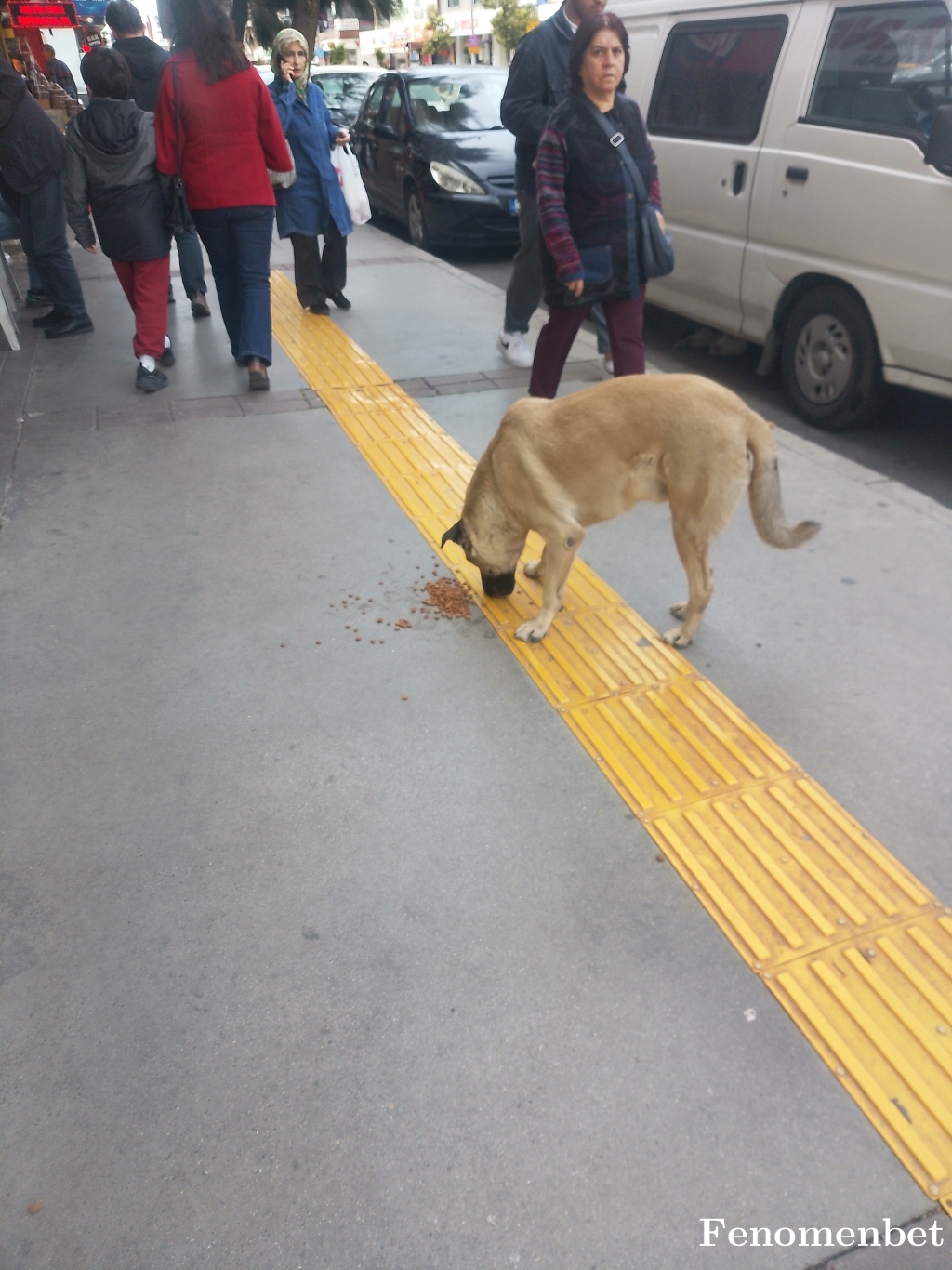 Kmsl_49 tarafından paylaşıldı