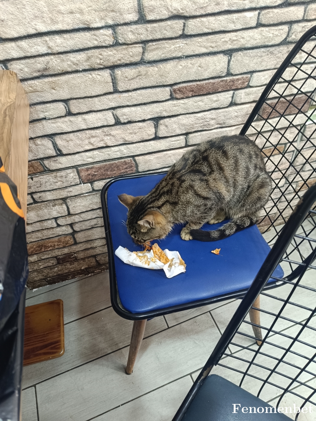 Sedat06  tarafından paylaşıldı