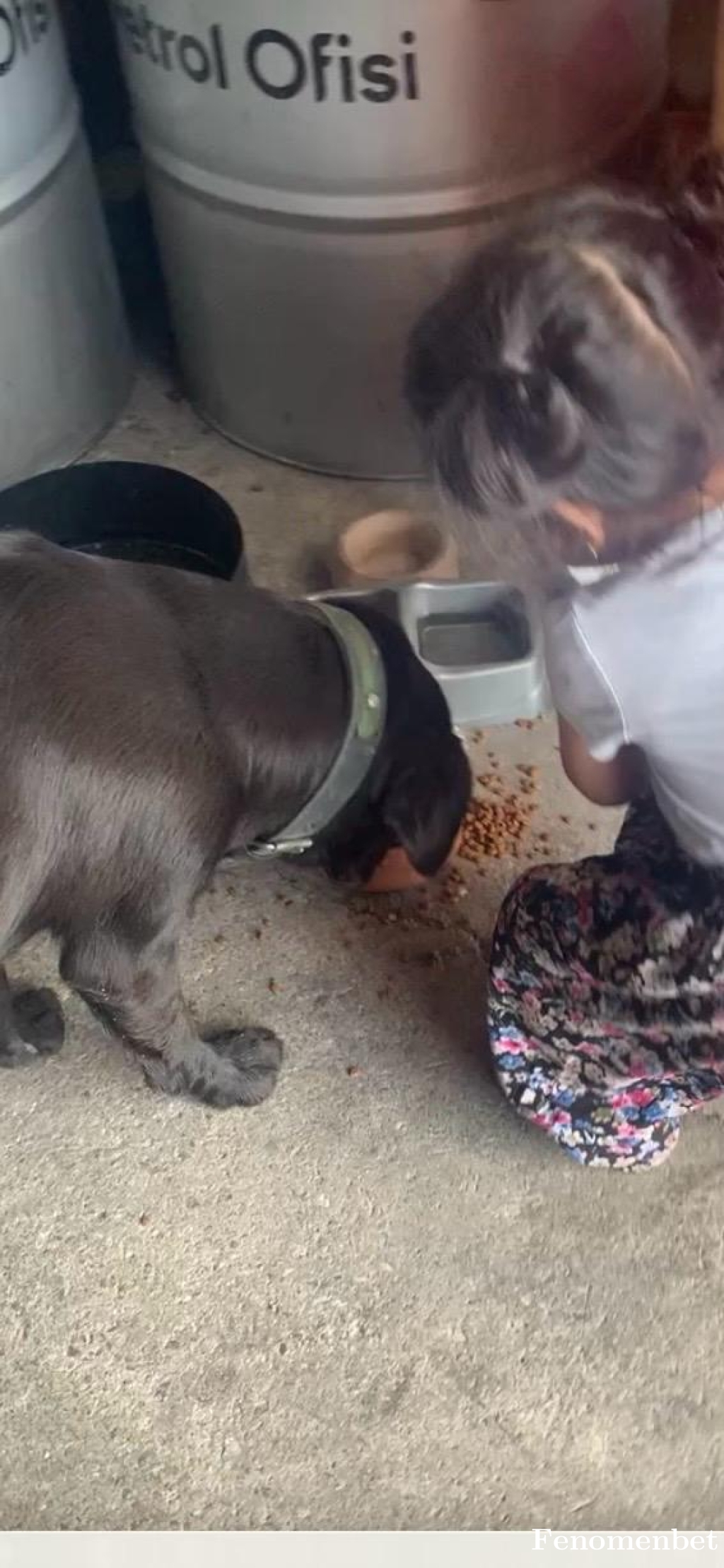 Ozkaracabetul tarafından paylaşıldı