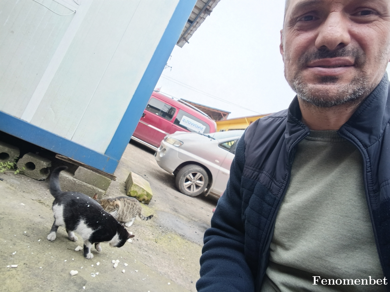 perspektiv tarafından paylaşıldı