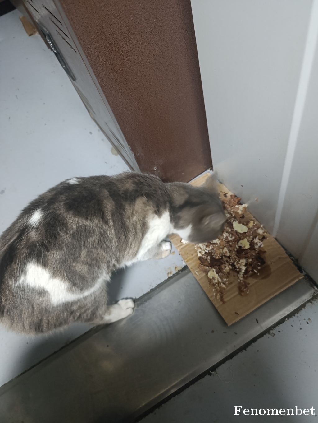 Dengesizz3 tarafından paylaşıldı