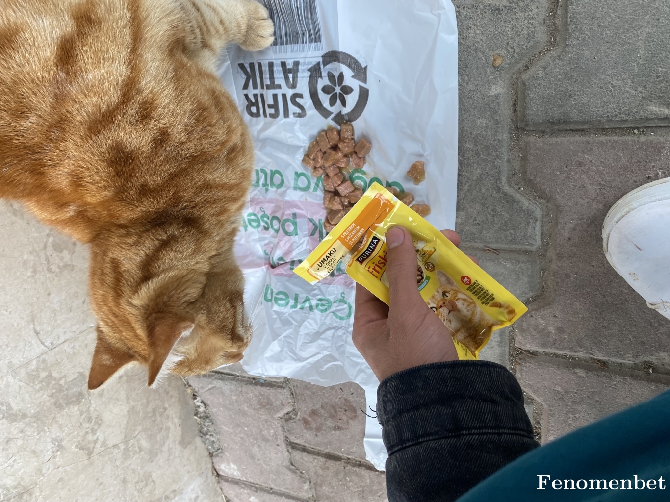 Deniztek tarafından paylaşıldı