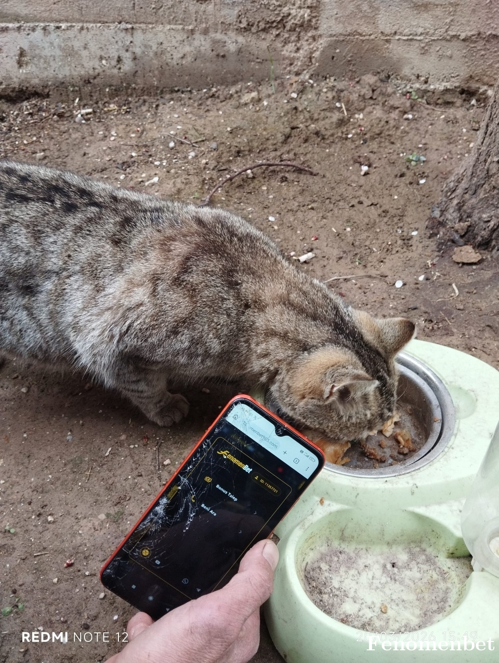 sas4242 tarafından paylaşıldı