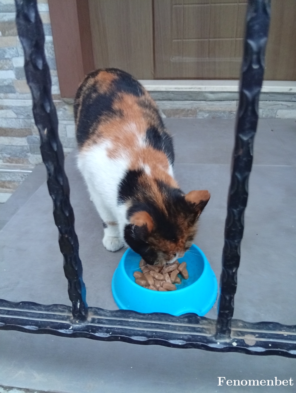 Toroldu tarafından paylaşıldı