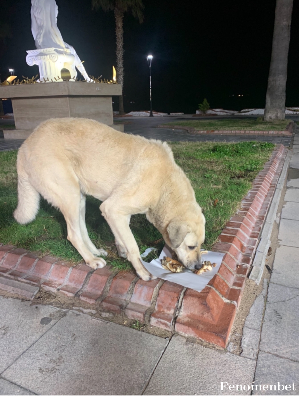 Bugenco tarafından paylaşıldı