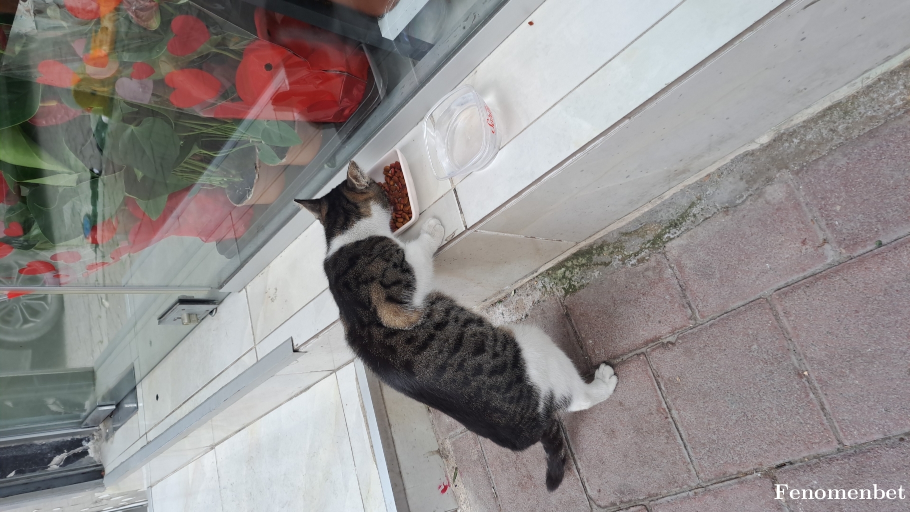 Murat1352 tarafından paylaşıldı