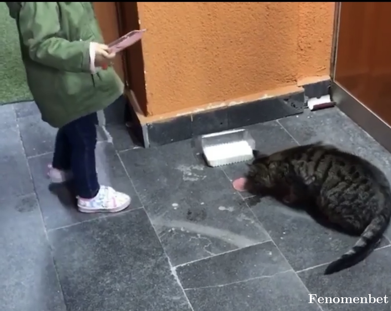 Bhy00 tarafından paylaşıldı