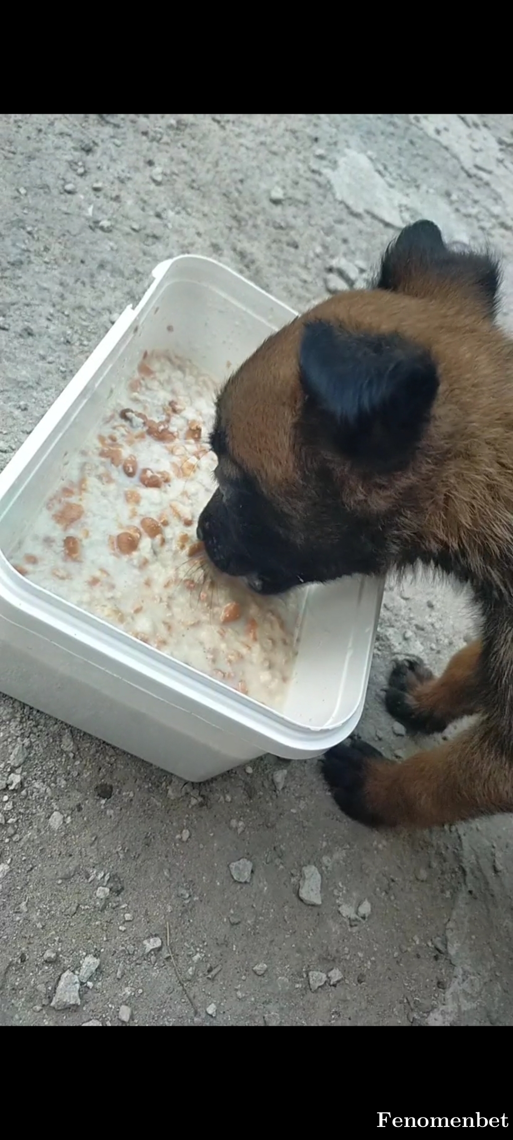 Pioner51  tarafından paylaşıldı