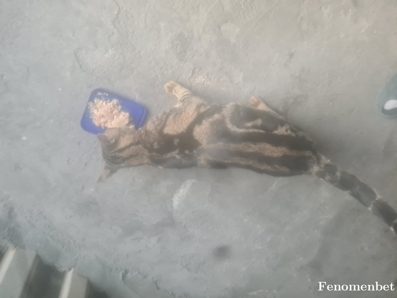 Cixooo tarafından paylaşıldı