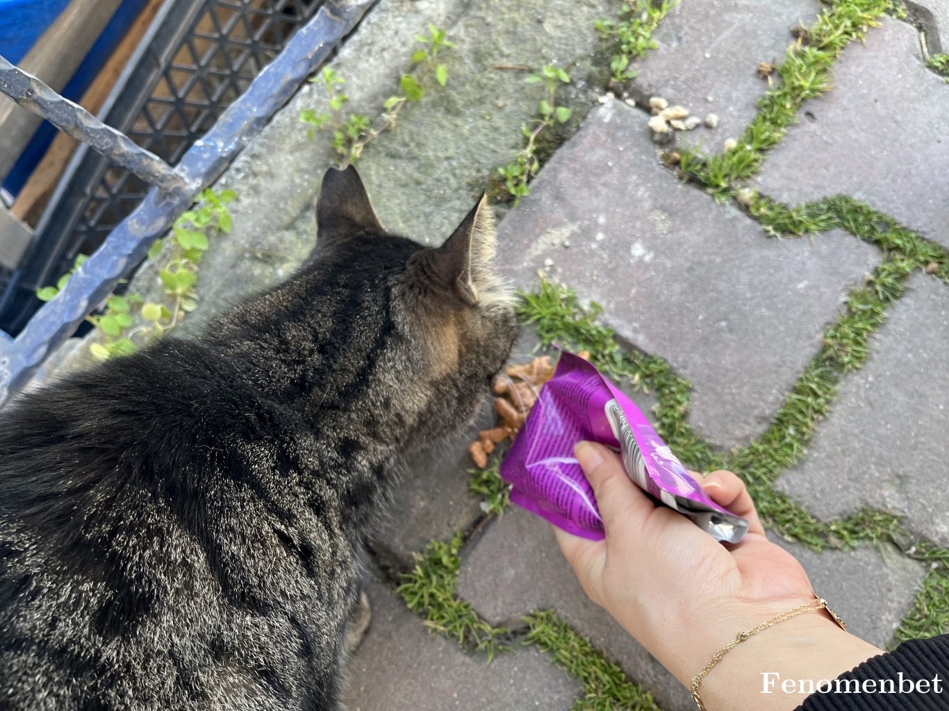 secil8981 tarafından paylaşıldı